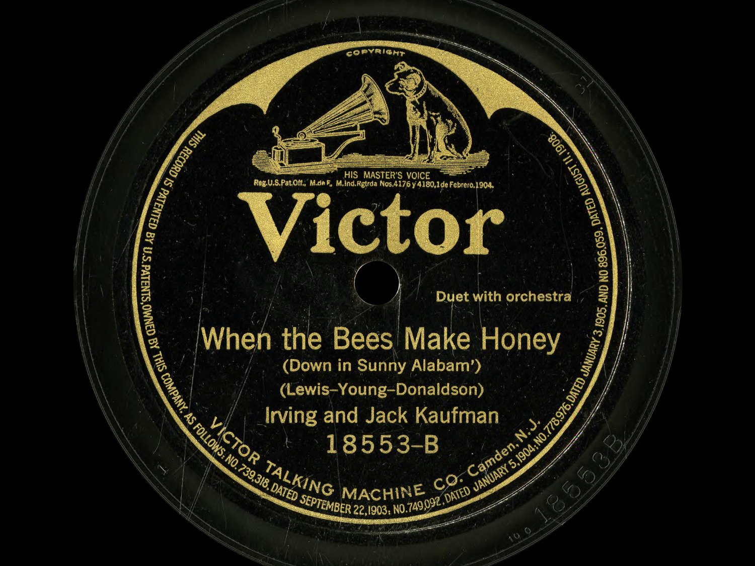 WEEKLY KAUFMAN (알라바마의 햇볕 아래에서) 벌들이 꿀을 만들 때